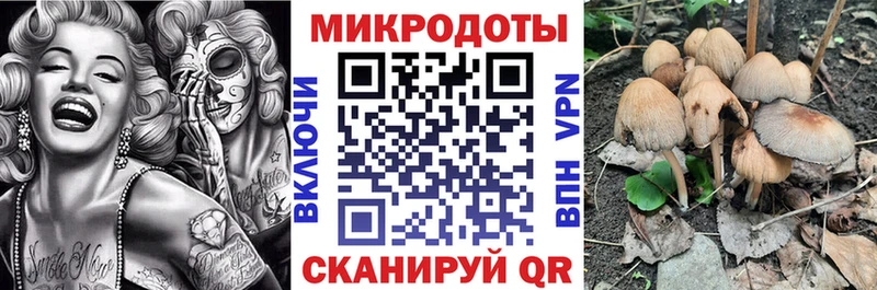 mega зеркало  Балашиха  Псилоцибиновые грибы GOLDEN TEACHER 